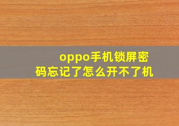 oppo手机锁屏密码忘记了怎么开不了机