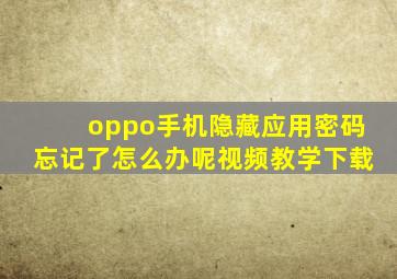 oppo手机隐藏应用密码忘记了怎么办呢视频教学下载