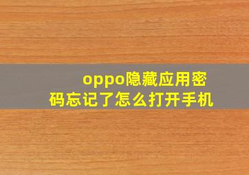 oppo隐藏应用密码忘记了怎么打开手机