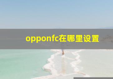 opponfc在哪里设置