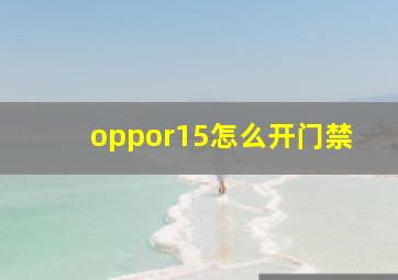 oppor15怎么开门禁