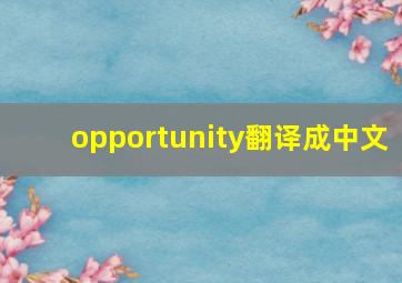 opportunity翻译成中文