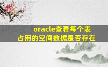 oracle查看每个表占用的空间数据是否存在