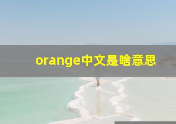 orange中文是啥意思