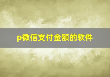 p微信支付金额的软件