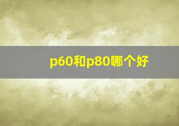 p60和p80哪个好