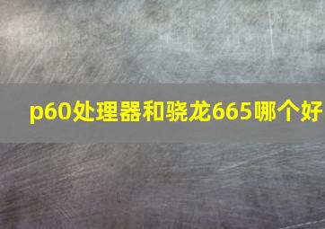 p60处理器和骁龙665哪个好