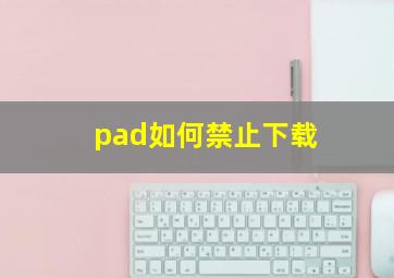 pad如何禁止下载