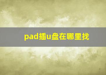 pad插u盘在哪里找