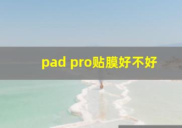 pad pro贴膜好不好