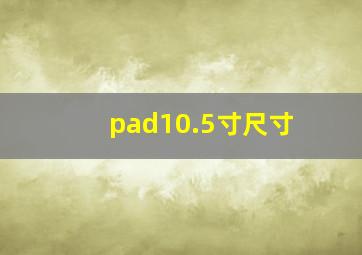 pad10.5寸尺寸