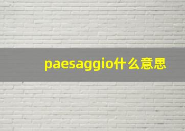 paesaggio什么意思