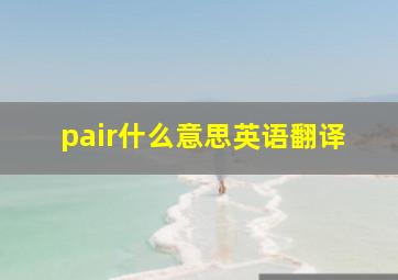 pair什么意思英语翻译