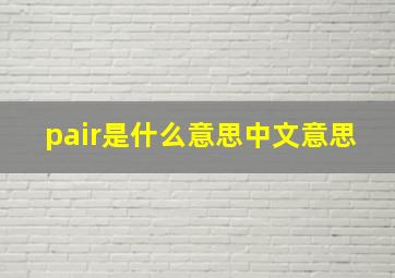 pair是什么意思中文意思