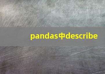 pandas中describe