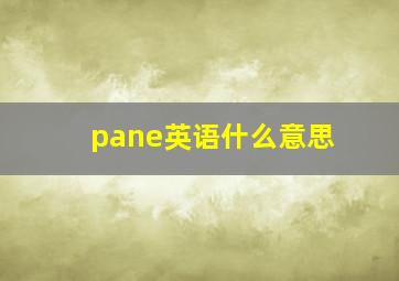 pane英语什么意思