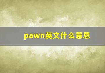 pawn英文什么意思