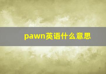 pawn英语什么意思