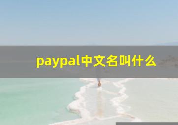 paypal中文名叫什么