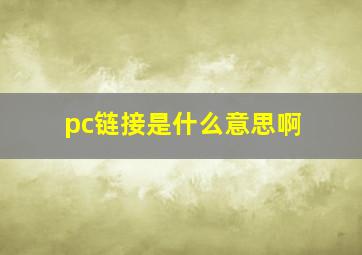 pc链接是什么意思啊