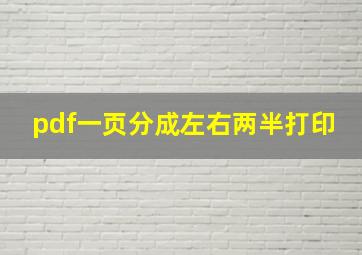 pdf一页分成左右两半打印