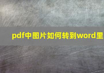 pdf中图片如何转到word里