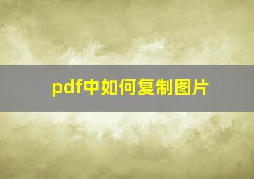 pdf中如何复制图片