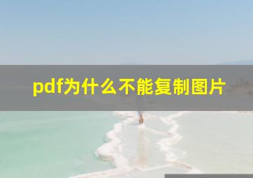 pdf为什么不能复制图片