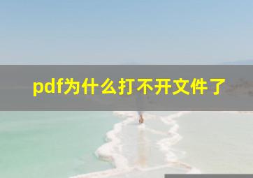 pdf为什么打不开文件了