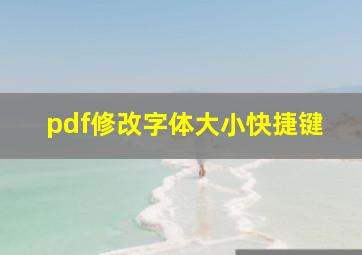 pdf修改字体大小快捷键