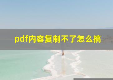 pdf内容复制不了怎么搞