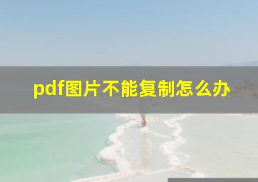 pdf图片不能复制怎么办