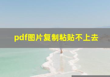 pdf图片复制粘贴不上去