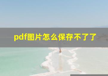 pdf图片怎么保存不了了