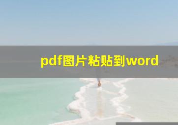 pdf图片粘贴到word