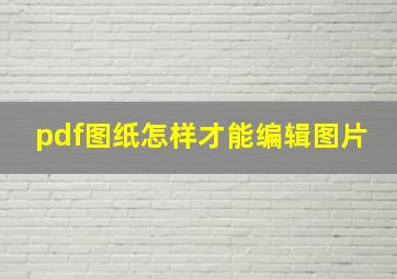 pdf图纸怎样才能编辑图片