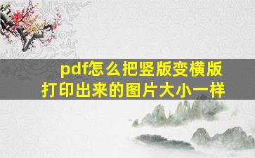 pdf怎么把竖版变横版打印出来的图片大小一样