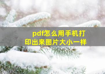 pdf怎么用手机打印出来图片大小一样