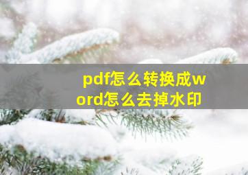 pdf怎么转换成word怎么去掉水印