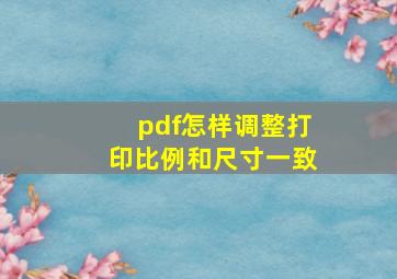 pdf怎样调整打印比例和尺寸一致