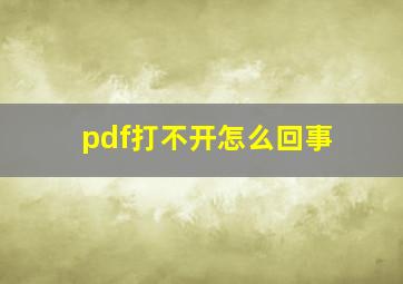 pdf打不开怎么回事