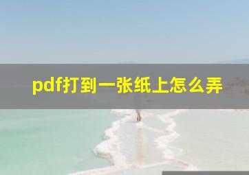 pdf打到一张纸上怎么弄