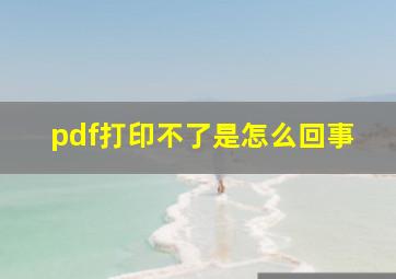 pdf打印不了是怎么回事