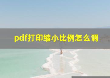 pdf打印缩小比例怎么调