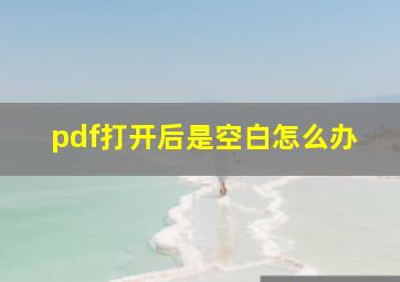 pdf打开后是空白怎么办