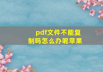 pdf文件不能复制吗怎么办呢苹果