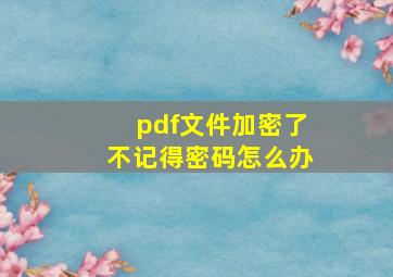 pdf文件加密了不记得密码怎么办