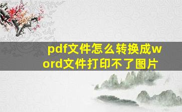 pdf文件怎么转换成word文件打印不了图片