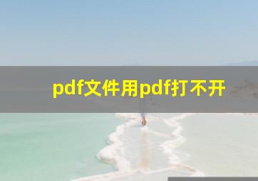 pdf文件用pdf打不开