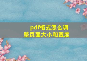 pdf格式怎么调整页面大小和宽度